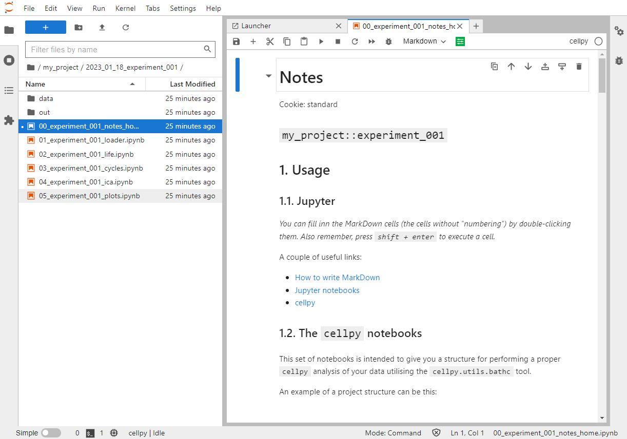 Notebook example